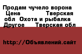 Продам чучело ворона › Цена ­ 11 000 - Тверская обл. Охота и рыбалка » Другое   . Тверская обл.